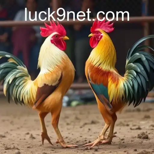 Exploring the Excitements and Challenges of Sabong Games